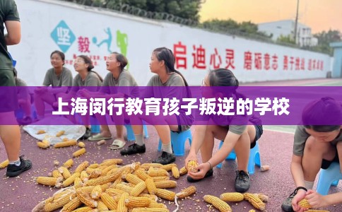 上海闵行教育孩子叛逆的学校 上海闵行教育孩子叛逆的学校