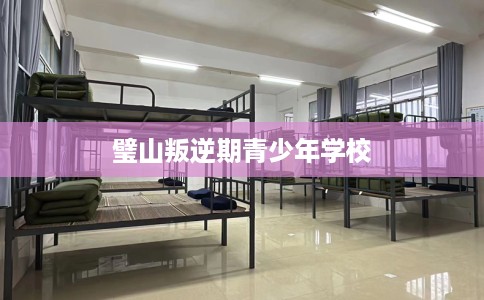 璧山叛逆期青少年学校 璧山叛逆期青少年学校