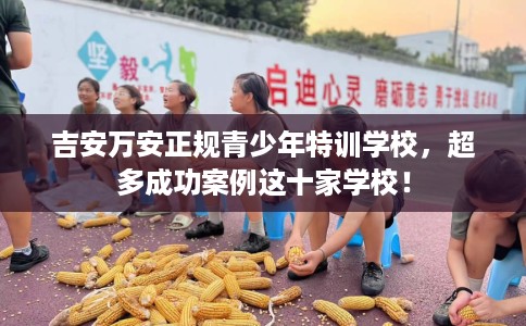 吉安万安正规青少年特训学校，超多成功案例这十家学校！