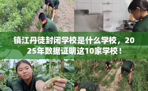 镇江丹徒封闭学校是什么学校，2025年数据证明这10家学校！