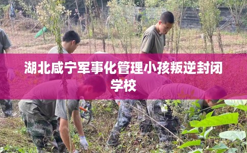 湖北咸宁军事化管理小孩叛逆封闭学校 湖北咸宁军事化管理小孩叛逆封闭学校
