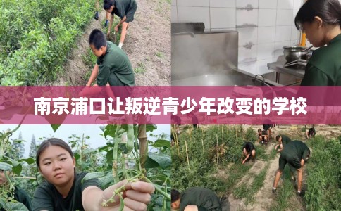 南京浦口让叛逆青少年改变的学校