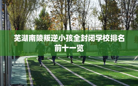 芜湖南陵叛逆小孩全封闭学校排名前十一览 芜湖南陵叛逆小孩全封闭学校排名前十一览