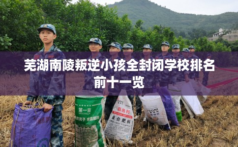 芜湖南陵叛逆小孩全封闭学校排名前十一览 芜湖南陵叛逆小孩全封闭学校排名前十一览