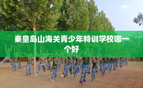 秦皇岛山海关青少年特训学校哪一个好