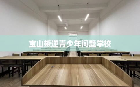 宝山叛逆青少年问题学校