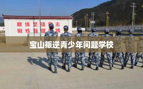 宝山叛逆青少年问题学校