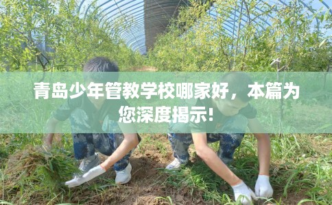 青岛少年管教学校哪家好，本篇为您深度揭示!