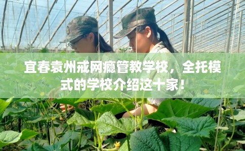 宜春袁州戒网瘾管教学校，全托模式的学校介绍这十家！