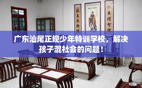广东汕尾正规少年特训学校，解决孩子混社会的问题！