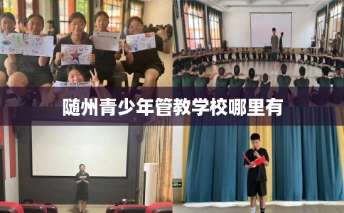 随州青少年管教学校哪里有