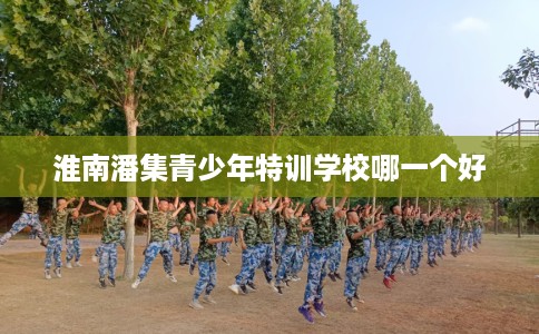 淮南潘集青少年特训学校哪一个好