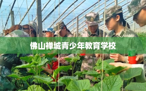 佛山禅城青少年教育学校