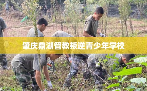 肇庆鼎湖管教叛逆青少年学校