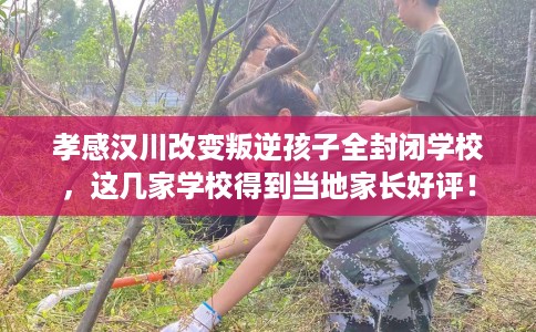 孝感汉川改变叛逆孩子全封闭学校,这几家学校得到当地家长好评! 孝感汉川改变叛逆孩子全封闭学校,这几家学校得到当地家长好评!