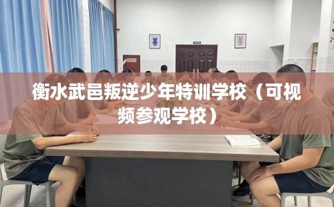 衡水武邑叛逆少年特训学校（可视频参观学校）