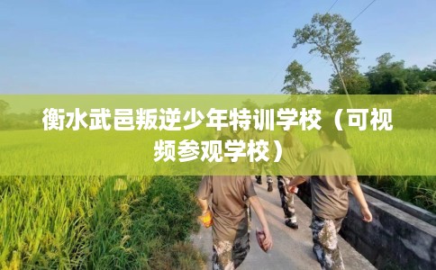 衡水武邑叛逆少年特训学校（可视频参观学校）