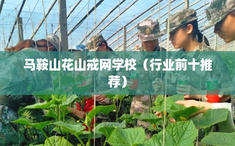 马鞍山花山戒网学校（行业前十推荐）
