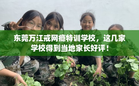 东莞万江戒网瘾特训学校，这几家学校得到当地家长好评！