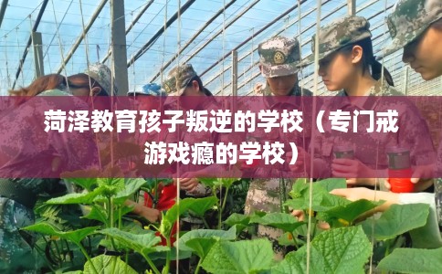 菏泽教育孩子叛逆的学校（专门戒游戏瘾的学校）