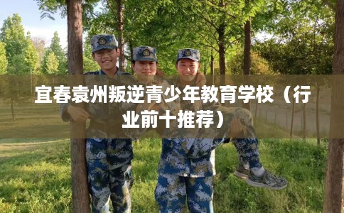 宜春袁州叛逆青少年教育学校（行业前十推荐）