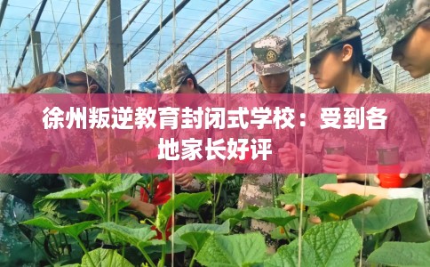 徐州叛逆教育封闭式学校：受到各地家长好评