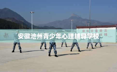 安徽池州青少年心理辅导学校