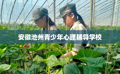 安徽池州青少年心理辅导学校