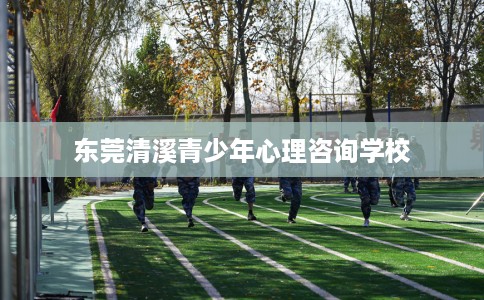 东莞清溪青少年心理咨询学校