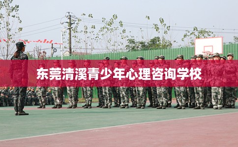 东莞清溪青少年心理咨询学校