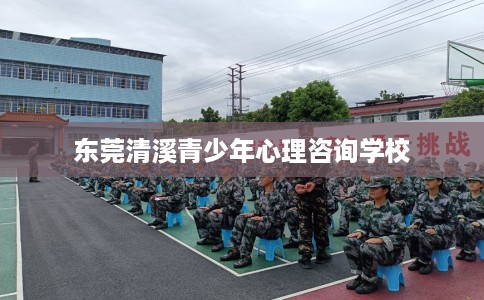 东莞清溪青少年心理咨询学校