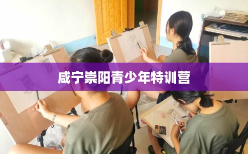 咸宁崇阳青少年特训营