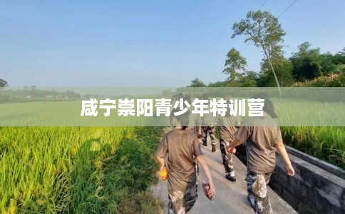 咸宁崇阳青少年特训营
