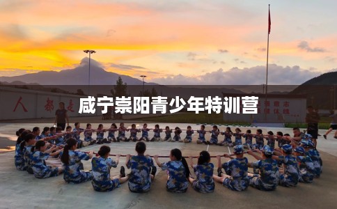 咸宁崇阳青少年特训营