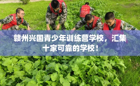 赣州兴国青少年训练营学校，汇集十家可靠的学校！