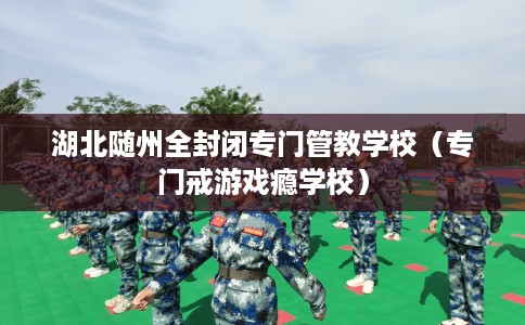 湖北随州全封闭专门管教学校(专门戒游戏瘾学校) 湖北随州全封闭专门管教学校(专门戒游戏瘾学校)