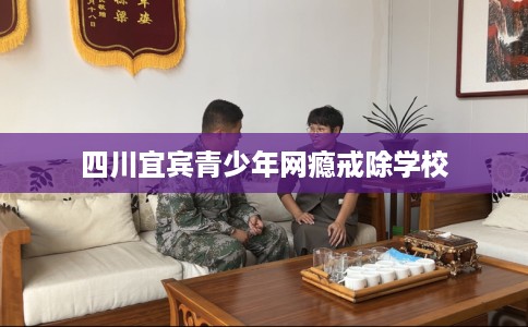 四川宜宾青少年网瘾戒除学校 四川宜宾青少年网瘾戒除学校