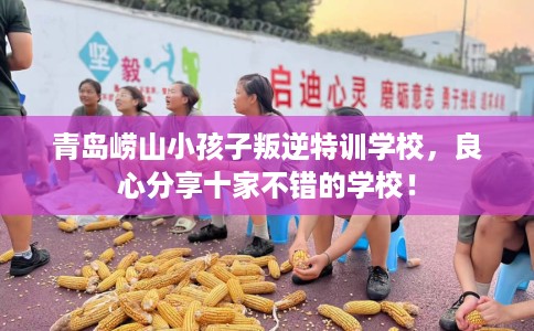 青岛崂山小孩子叛逆特训学校,良心分享十家不错的学校! 青岛崂山小孩子叛逆特训学校,良心分享十家不错的学校!