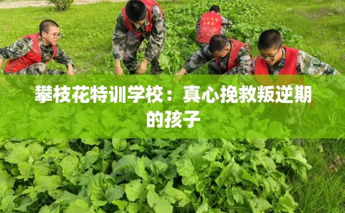 攀枝花特训学校:真心挽救叛逆期的孩子 攀枝花特训学校:真心挽救叛逆期的孩子