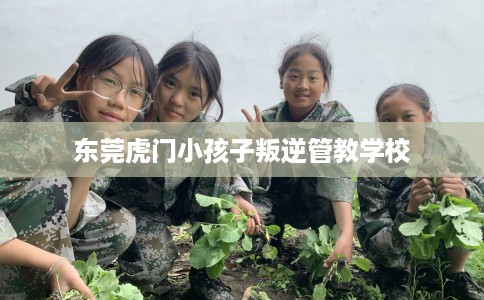 东莞虎门小孩子叛逆管教学校 东莞虎门小孩子叛逆管教学校