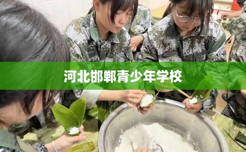 河北邯郸青少年学校