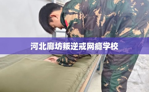河北廊坊叛逆戒网瘾学校 河北廊坊叛逆戒网瘾学校