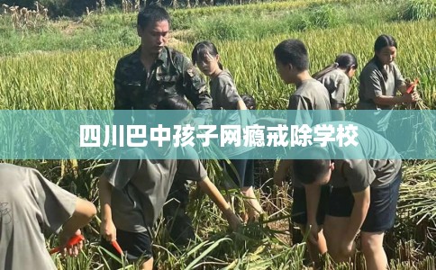 四川巴中孩子网瘾戒除学校 四川巴中孩子网瘾戒除学校