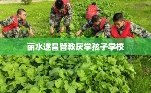丽水遂昌管教厌学孩子学校