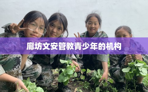 廊坊文安管教青少年的机构 廊坊文安管教青少年的机构