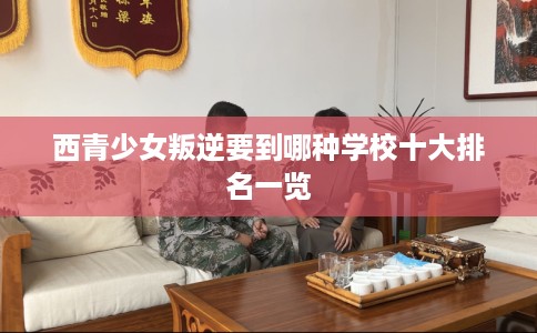 西青少女叛逆要到哪种学校十大排名一览 西青少女叛逆要到哪种学校十大排名一览