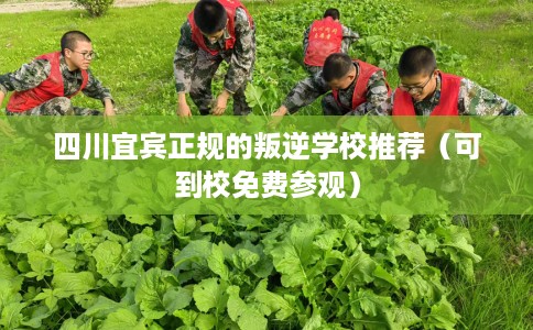 四川宜宾正规的叛逆学校推荐(可到校免费参观) 四川宜宾正规的叛逆学校推荐(可到校免费参观)