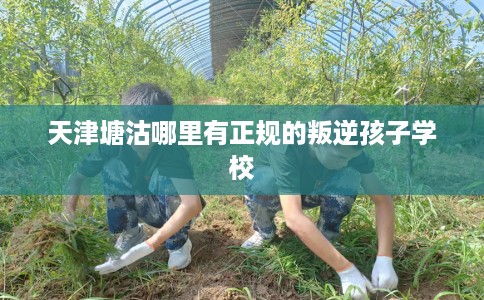 天津塘沽哪里有正规的叛逆孩子学校 天津塘沽哪里有正规的叛逆孩子学校