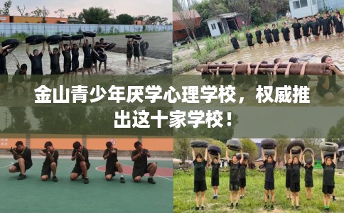 金山青少年厌学心理学校,权威推出这十家学校! 金山青少年厌学心理学校,权威推出这十家学校!