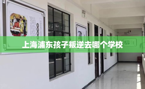 上海浦东孩子叛逆去哪个学校 上海浦东孩子叛逆去哪个学校